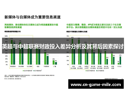 英超与中超联赛财政投入差异分析及其背后因素探讨