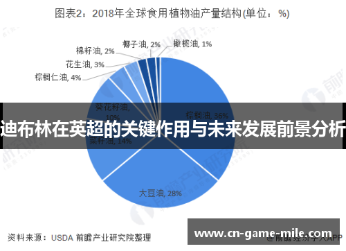 迪布林在英超的关键作用与未来发展前景分析 迪布林在英超的关键作用与未来发展前景分析