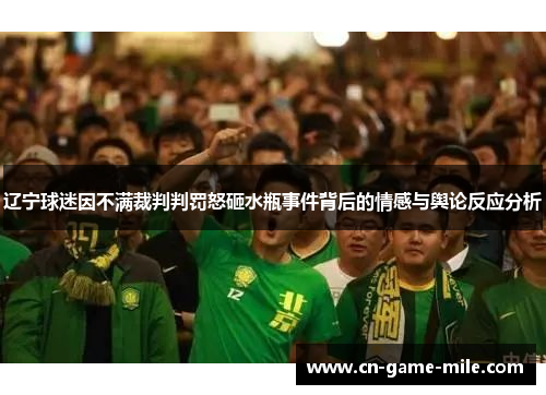 辽宁球迷因不满裁判判罚怒砸水瓶事件背后的情感与舆论反应分析